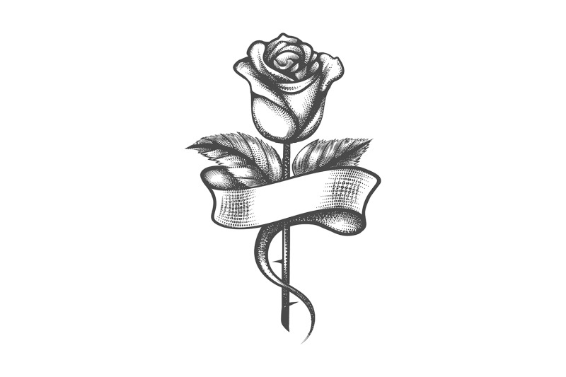 rose-flower-with-blank-ribbon-tattoo-drawn-in-engraving-style