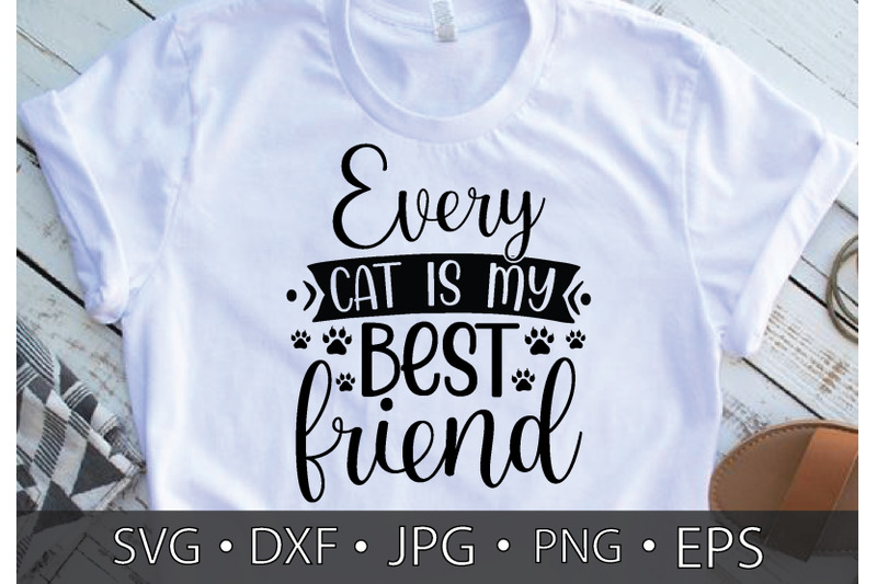 every-cat-is-my-best-friend