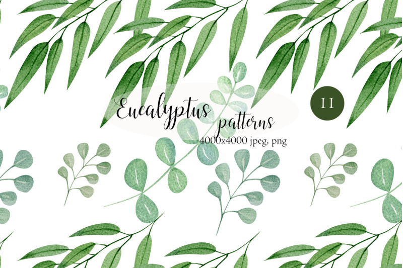 watercolor-eucalyptus-seamless-patterns
