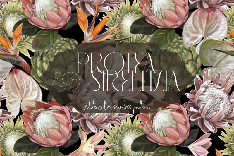 wallpaper-protea-strelitzia-seamless-pattern