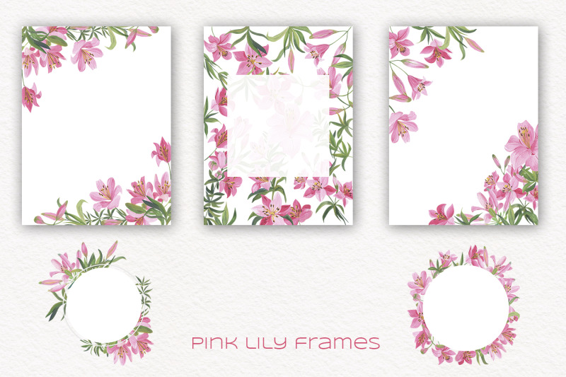 pink-lilies-illustration-set