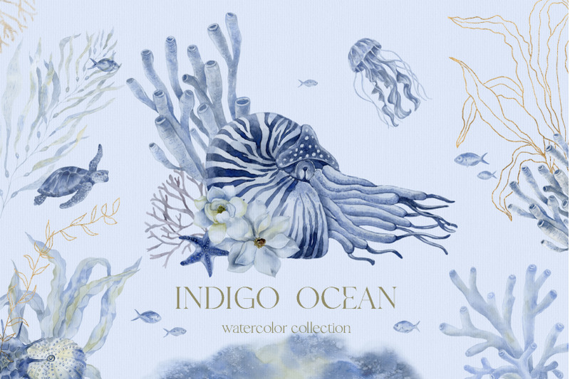 indigo-ocean-underwater-world