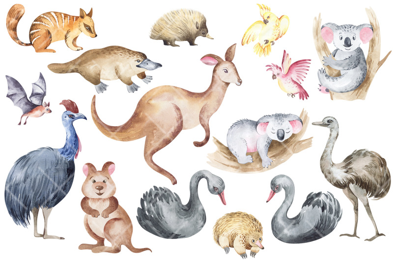 animals-and-plants-watercolor-elements-baby-clipart