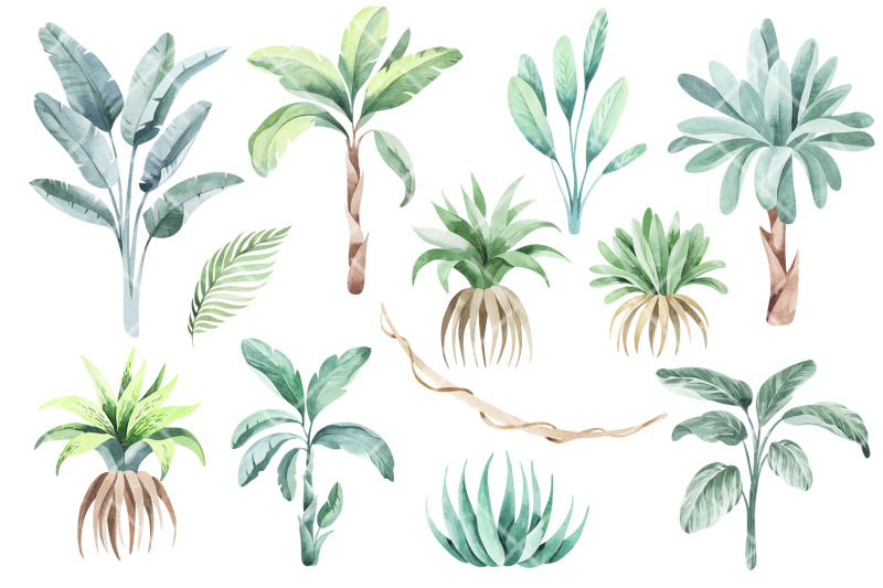 animals-and-plants-watercolor-elements-baby-clipart