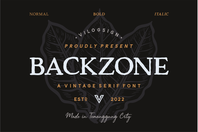 backzone-a-vintage-rustic-serif-font