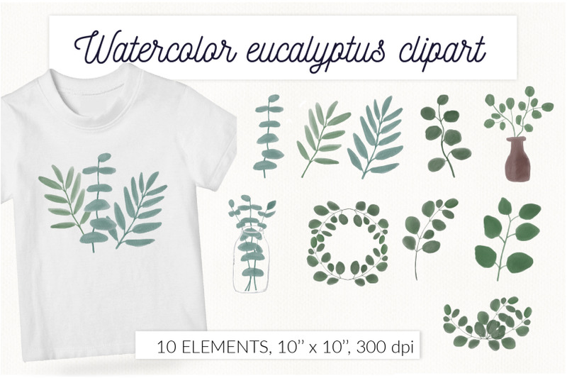 watercolor-eucalyptus-greenery-floral-clipart