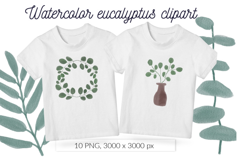 watercolor-eucalyptus-greenery-floral-clipart