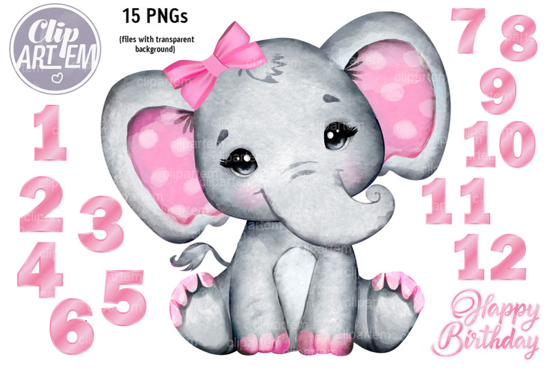 cute-pink-girl-elephant-12-month-numbers-15-png-set