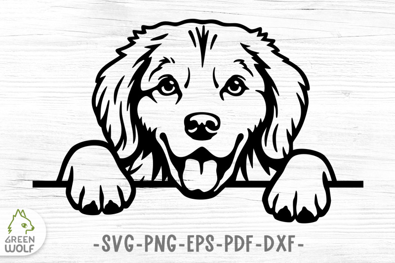 dog-split-monogram-svg-golden-retriever-svg-file-for-cricut