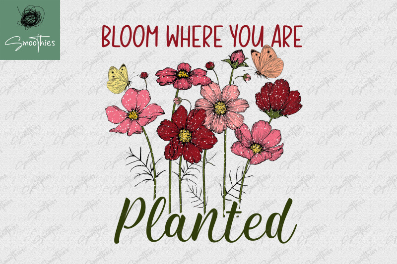 bloom-where-you-are-planted-flower-png