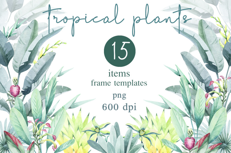 floral-frame-made-of-tropical-flowers-png-600-dpi