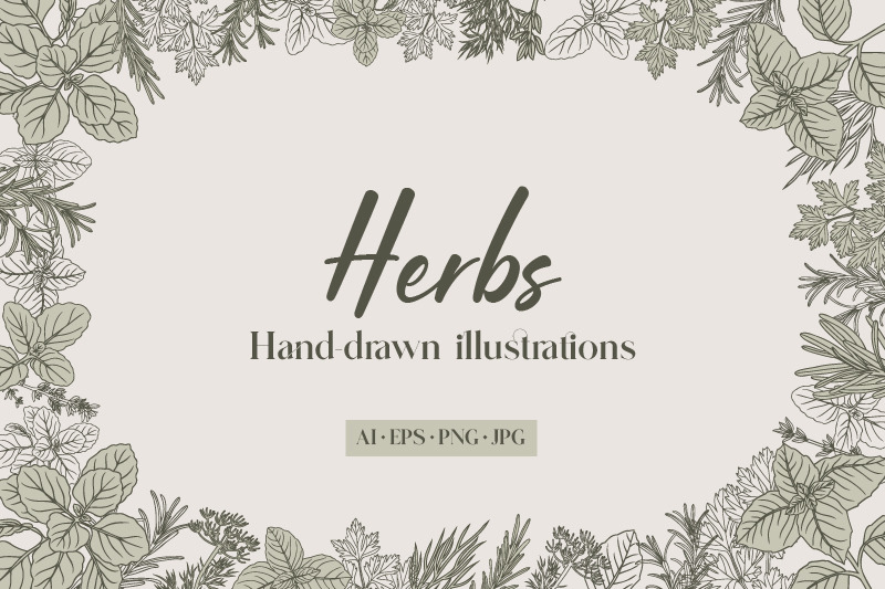 herbs-hand-drawn-illustrations