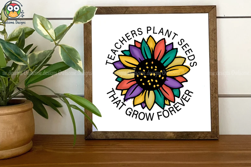 teacher-plant-seeds-sublimation