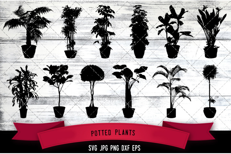 potted-plants-cut-file-svg