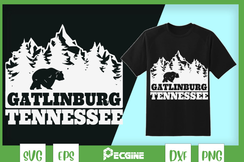 gatlinburg-tennessee-bear