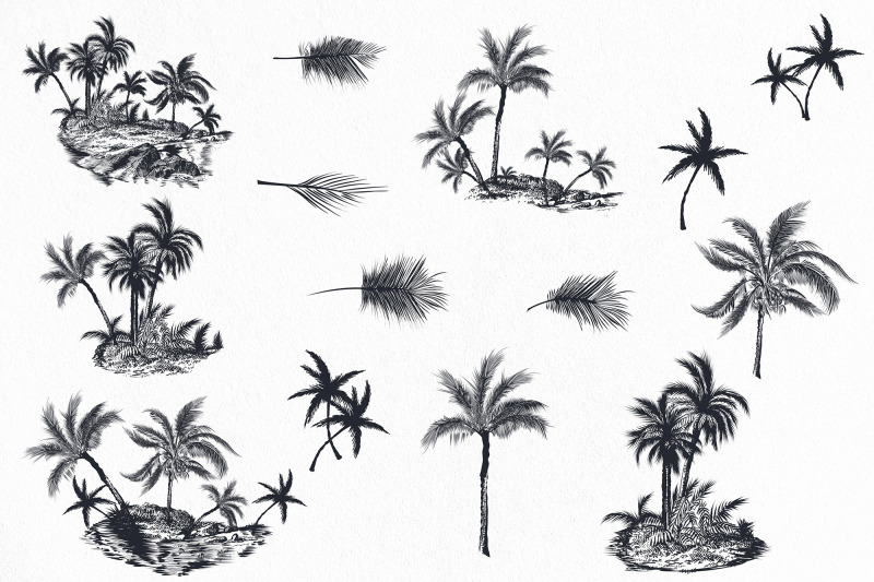 palm-trees-vector-clip-art-set