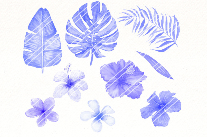 blue-tropical-leaves-exotic-flowers-png-clipart-bundle