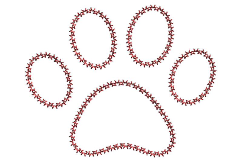 dog-paw-embroidery-design