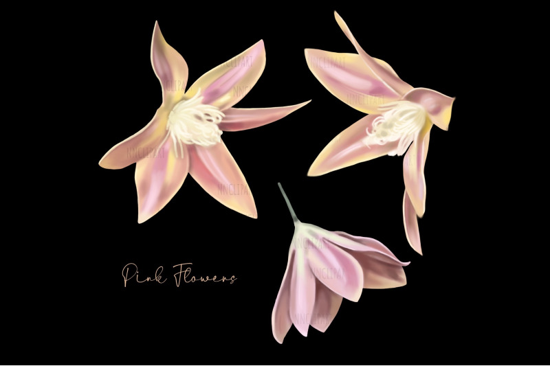 tropical-flowers-watercolor-flower-clipart-digital-realistic-plants