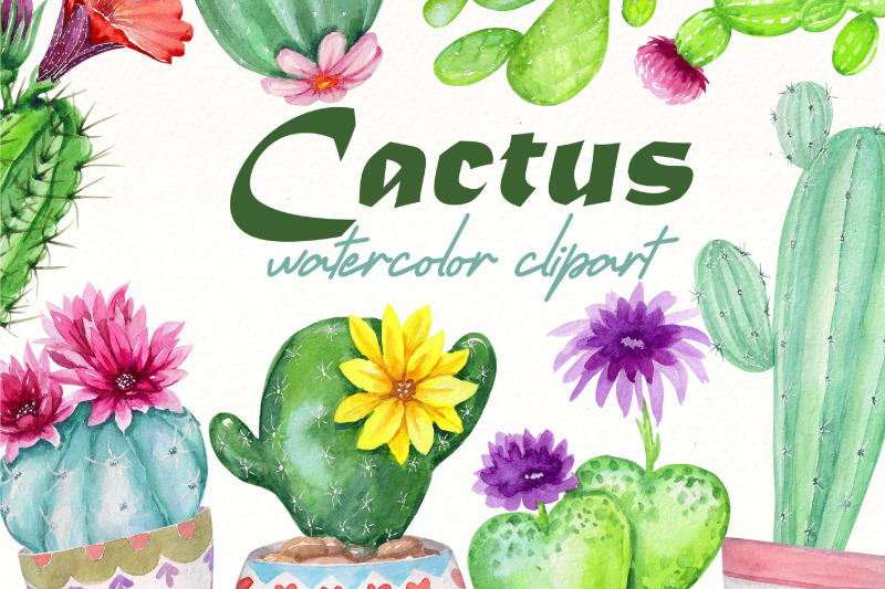 watercolor-cactus-clipart-bundle-cactus-png-plant-png