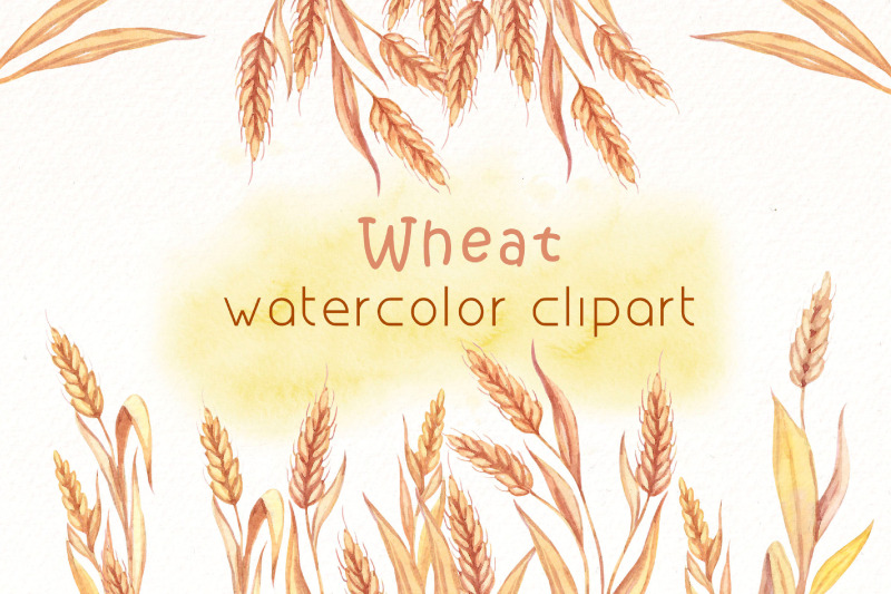 watercolor-wheat-clipart-png-bundle-thanksgiving-clipart