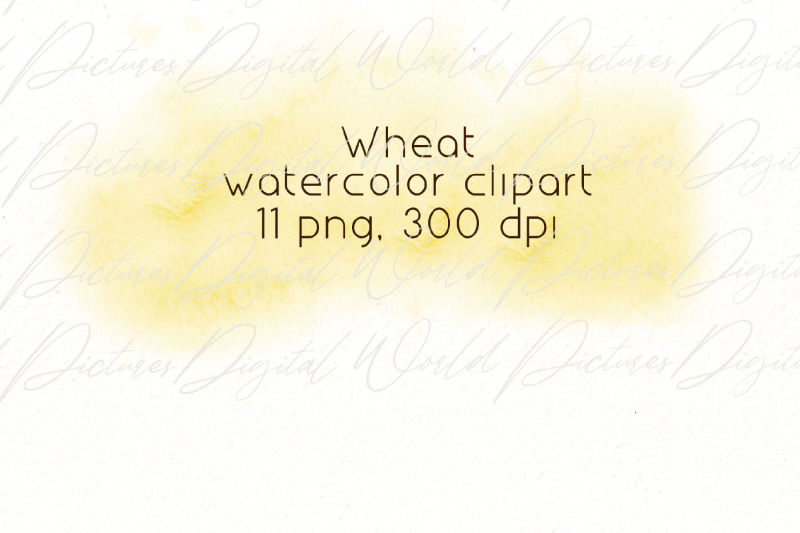 watercolor-wheat-clipart-png-bundle-thanksgiving-clipart