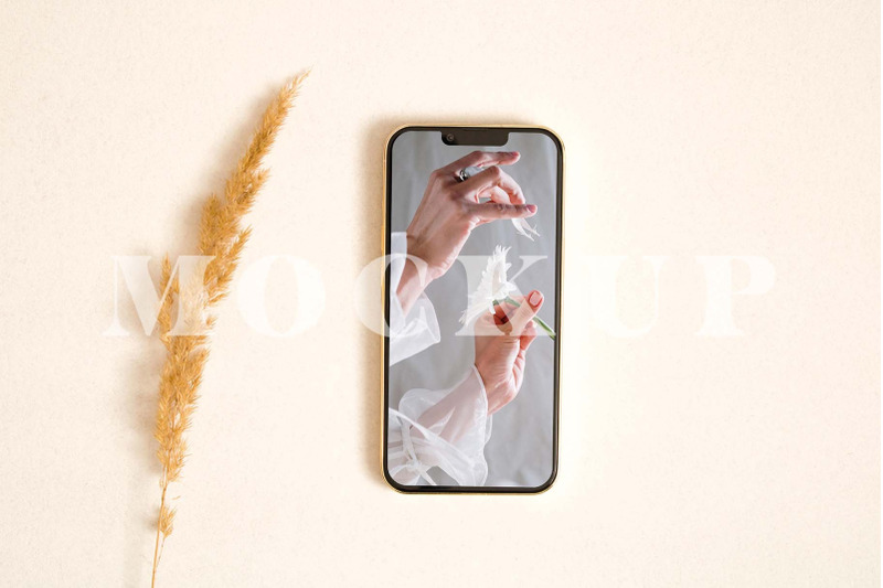 iphone-mockup-with-pampas-leaf