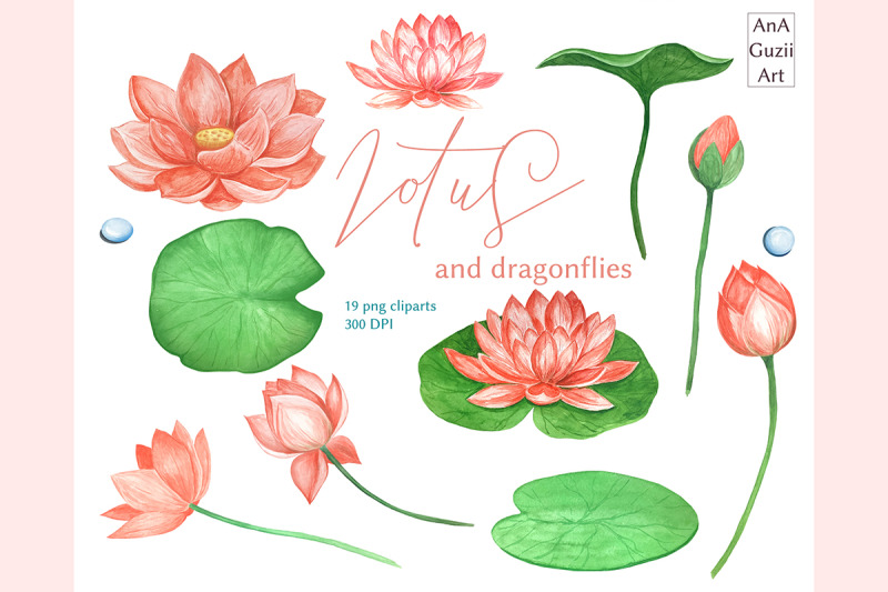 watercolor-lotus-flowers-dragonfly-clipart