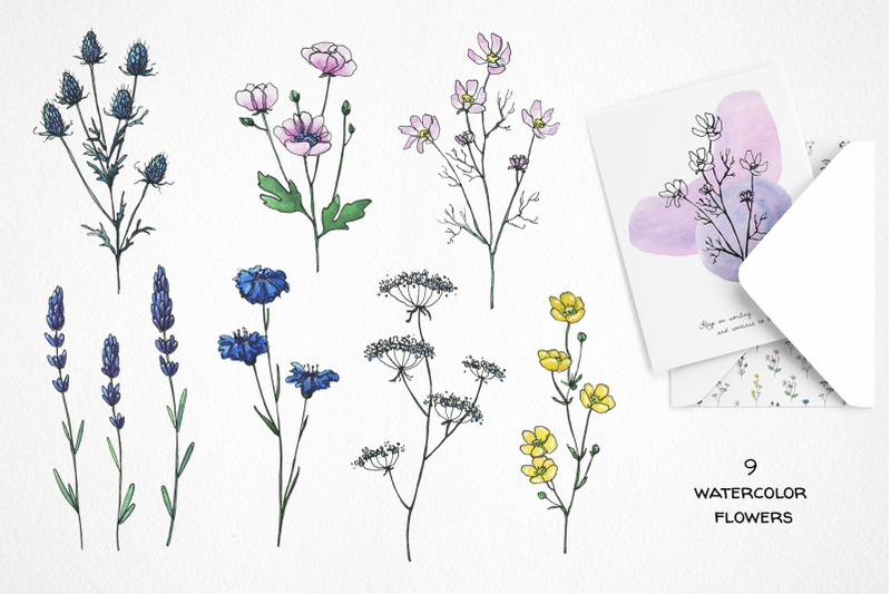 watercolor-abstract-clipart-line-art-flower-wildflower-digital-pape