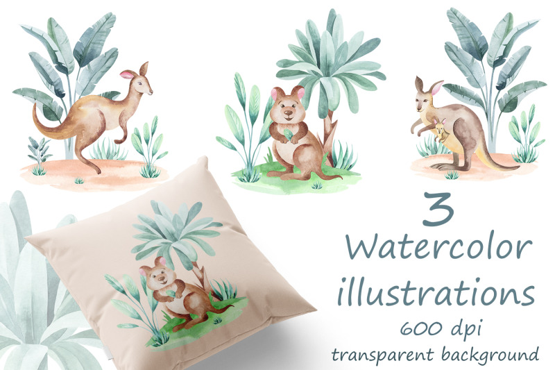 kangaroo-watercolor-set-10-items