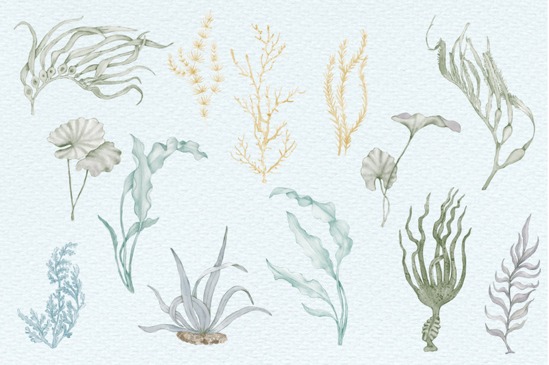 underwater-clipart-nursery-ocean-summer-nautical-creatures-coral-reef