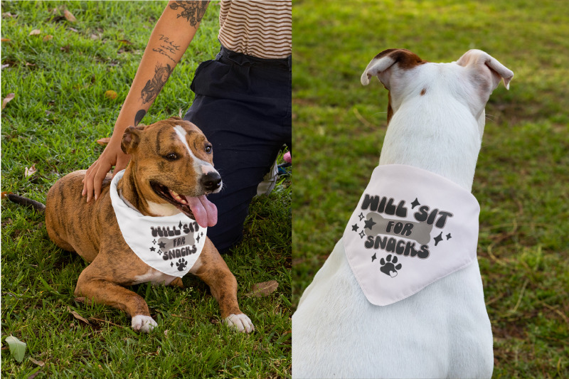 sit-for-snacks-dog-bandana-quote-svg-design-cricut-for-diy