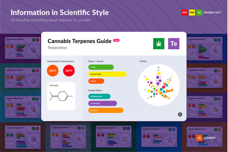 cannabis-terpenes-guide