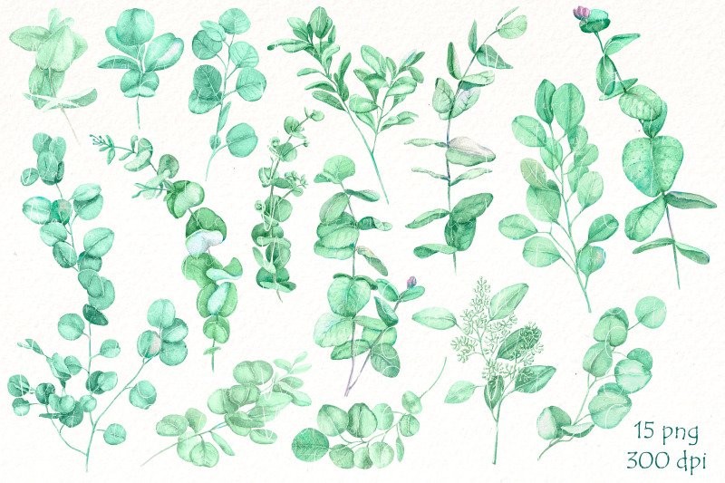 watercolor-eucalyptus-png-bundle-greenery-leaves-clipart