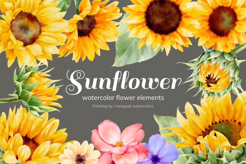 sunflower-watercolor-elements