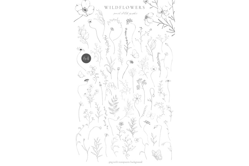 wildflowers-pencil-line-art-sketch