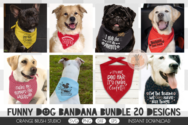 funny-dog-bandana-bundle-quotes-svg-design-cricut-for-diy