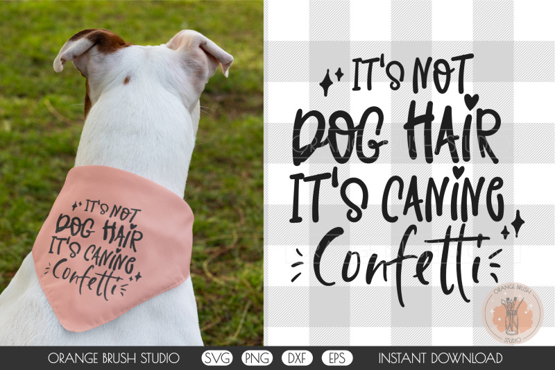 funny-dog-bandana-bundle-quotes-svg-design-cricut-for-diy