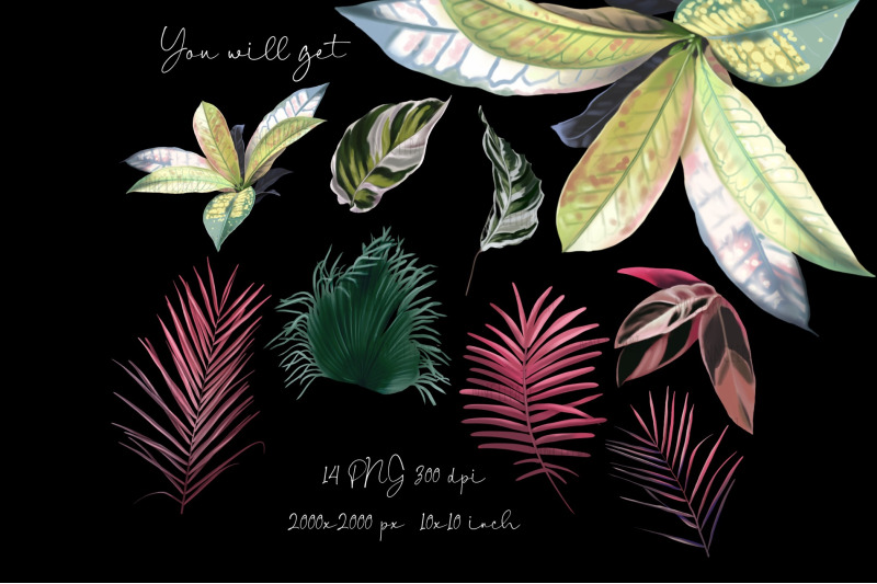 tropical-leaf-clipart-watercolor-palm-leaves-monstera-leaf