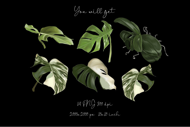 tropical-leaf-clipart-watercolor-palm-leaves-monstera-leaf