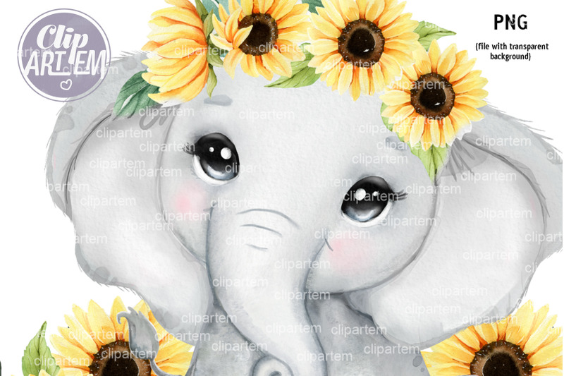 sunflower-elephant-baby-girl-watercolor-rustic-png-image