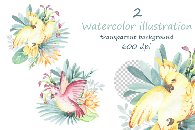 cockatoo-watercolor-set-9-items