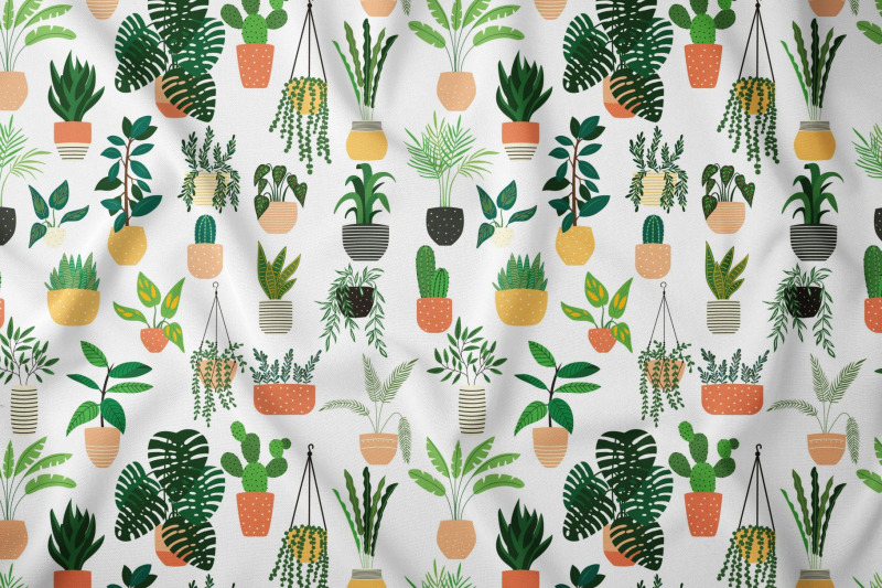 house-plants-illustrations-amp-patterns