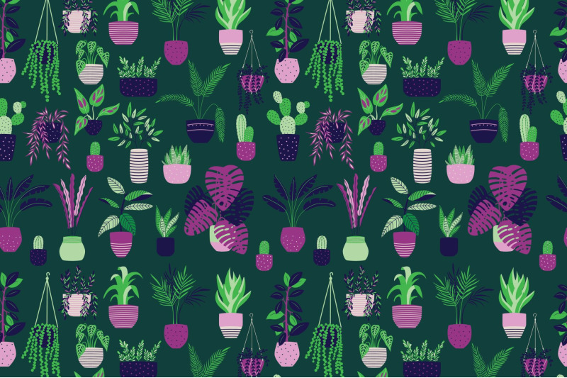 house-plants-illustrations-amp-patterns