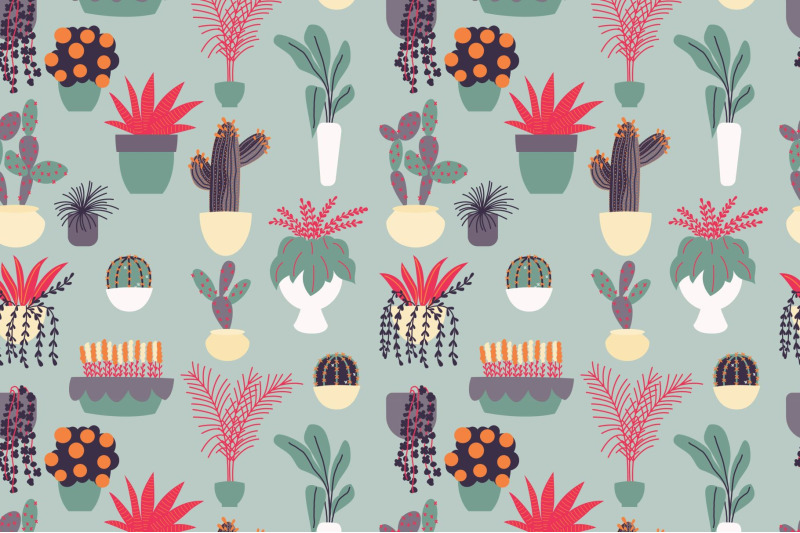 house-plants-illustrations-amp-patterns