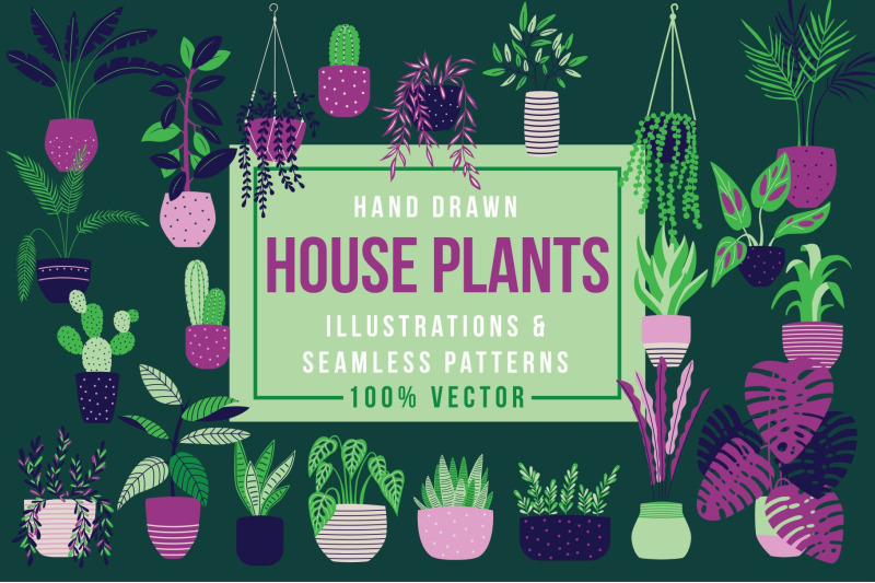 house-plants-illustrations-amp-patterns