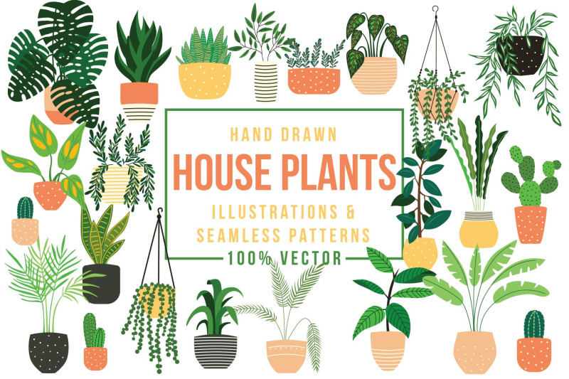 house-plants-illustrations-amp-patterns