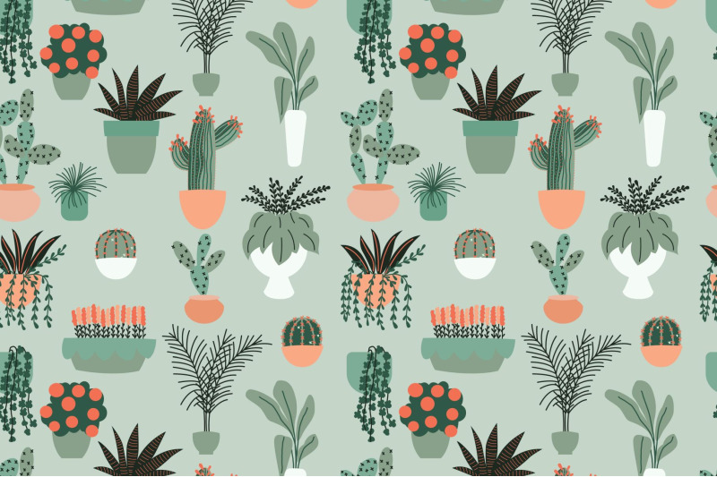 house-plants-illustrations-amp-patterns
