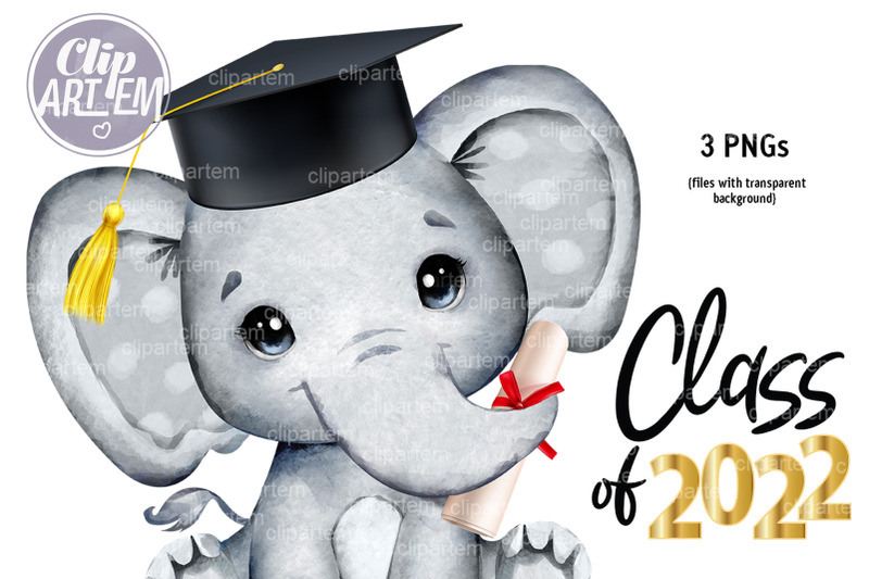 graduation-elephant-2022-in-cap-watercolor-clip-art-3-png-files