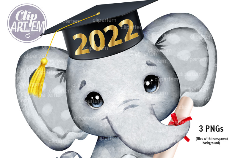 graduation-elephant-2022-in-cap-watercolor-clip-art-3-png-files